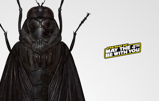 portfolio woocommerce